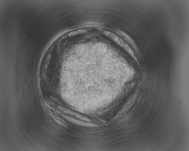 X0000082941435200702222235