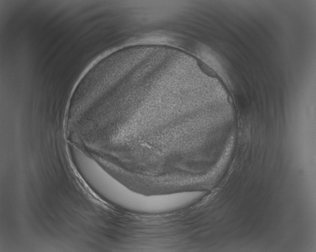 X0000082941436200702222235