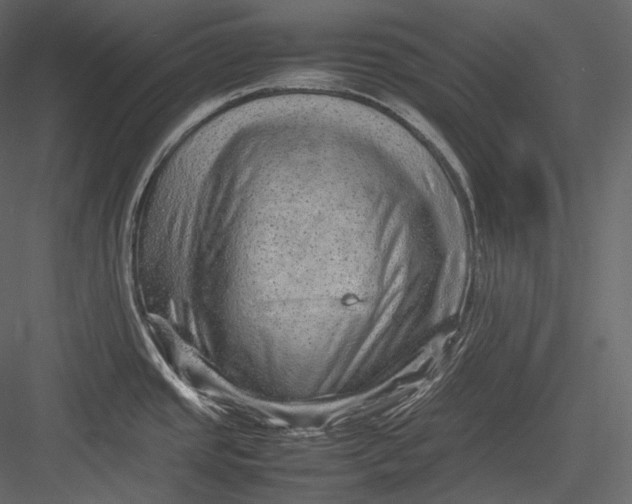 X0000082941437200702222235