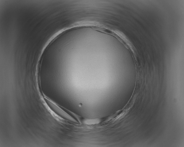 X0000082941438200702222235