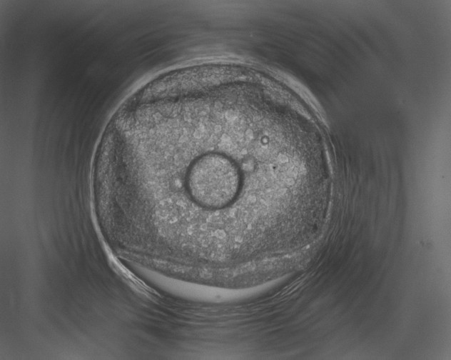 X0000082941439200702222235