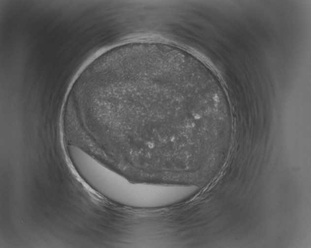 X0000082941440200702222235