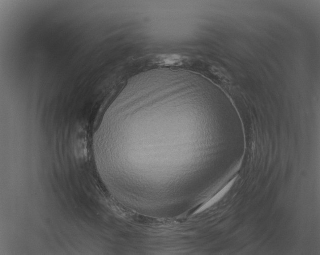 X0000082941442200702222234