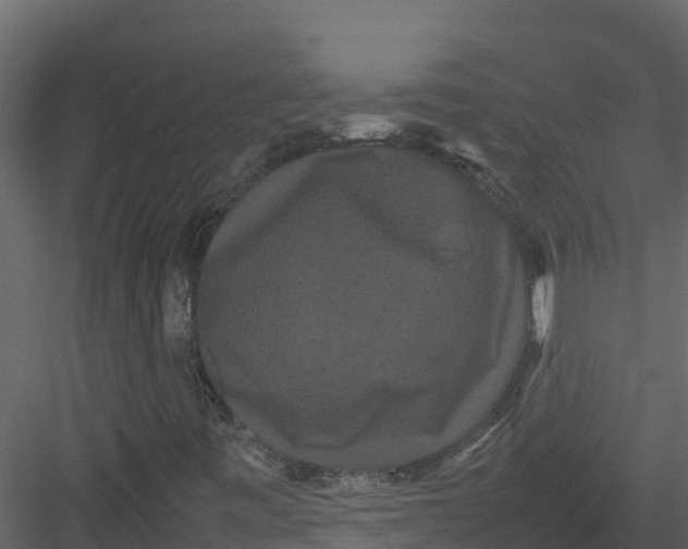 X0000082941443200702222234