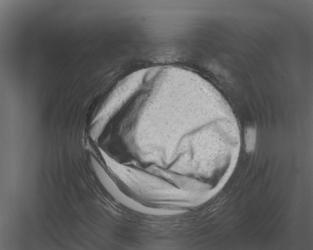 X0000082941444200702222234