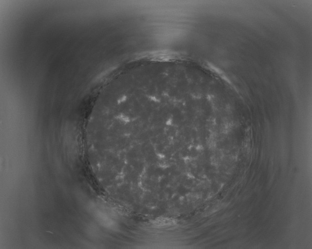 X0000082941446200702222234