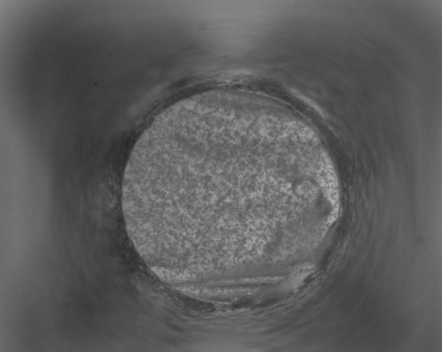 X0000082941447200702222234