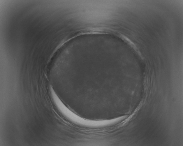 X0000082941449200702222234