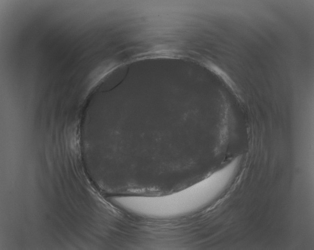 X0000082941450200702222234