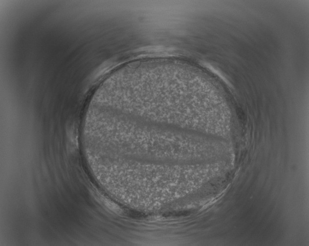 X0000082941451200702222234