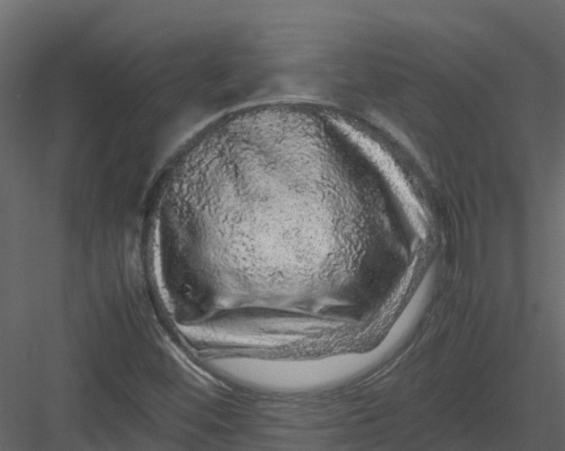 X0000082941452200702222234