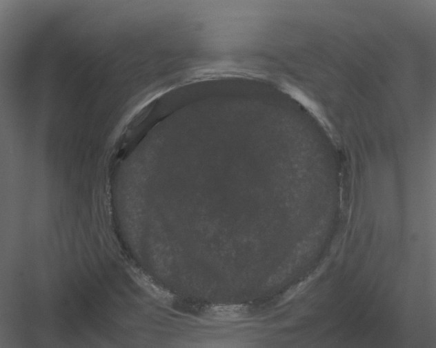 X0000082941453200702222234