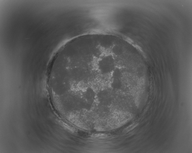 X0000082941454200702222234