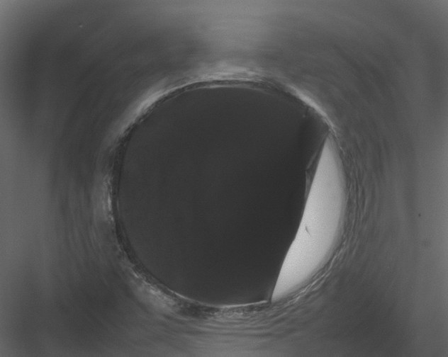 X0000082941455200702222234