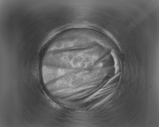 X0000082941456200702222234