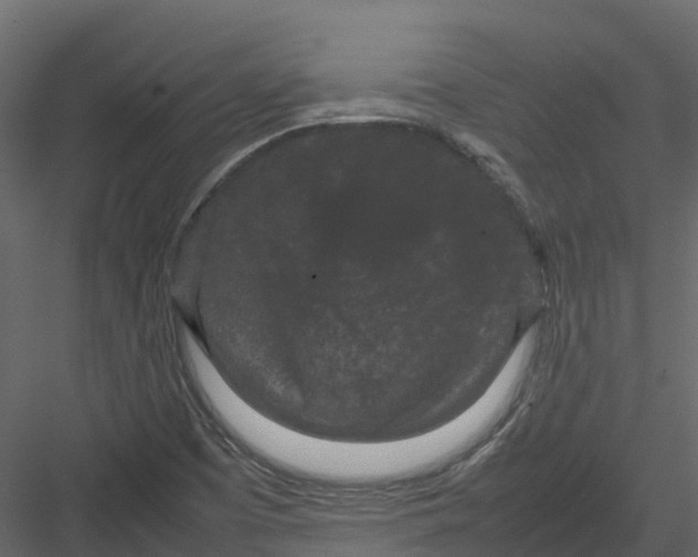 X0000082941457200702222234