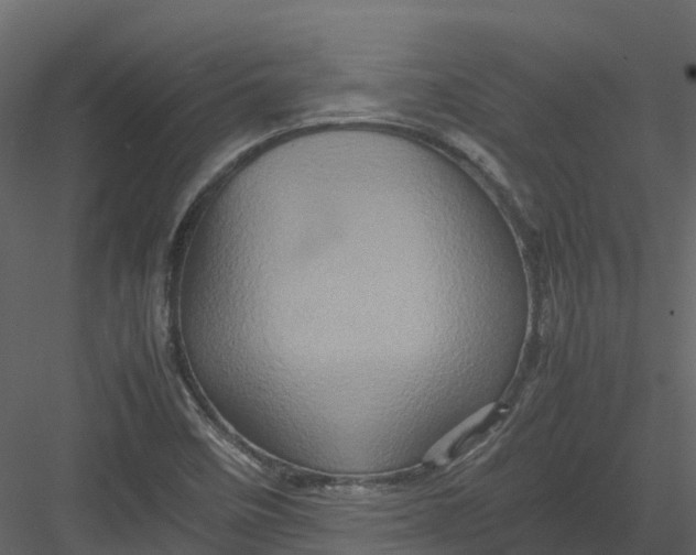 X0000082941458200702222234