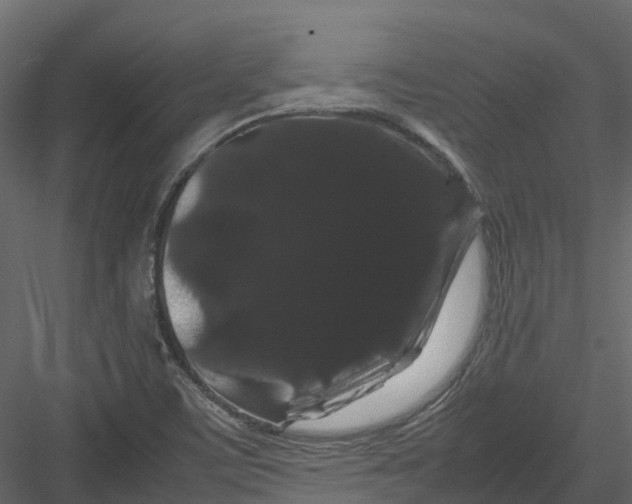 X0000082941459200702222234