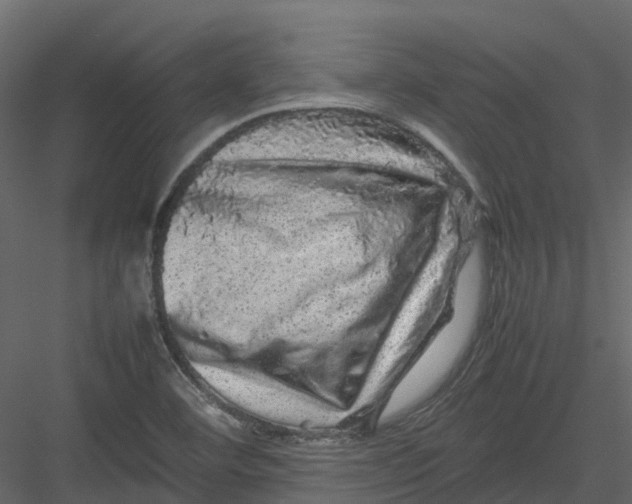 X0000082941460200702222234