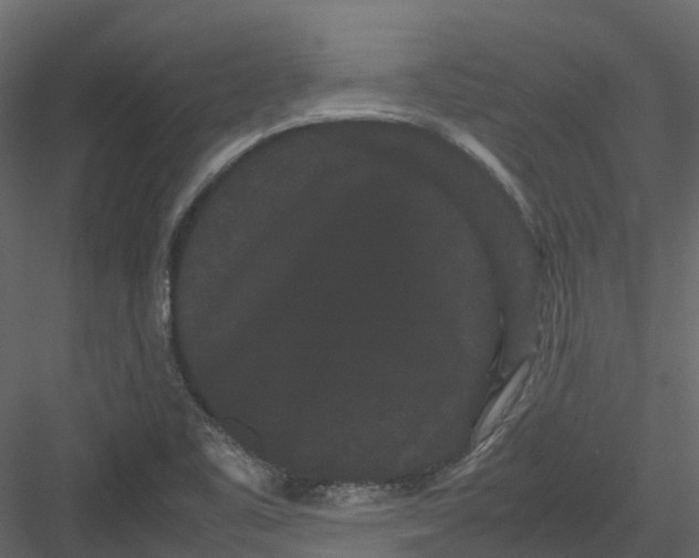 X0000082941461200702222234