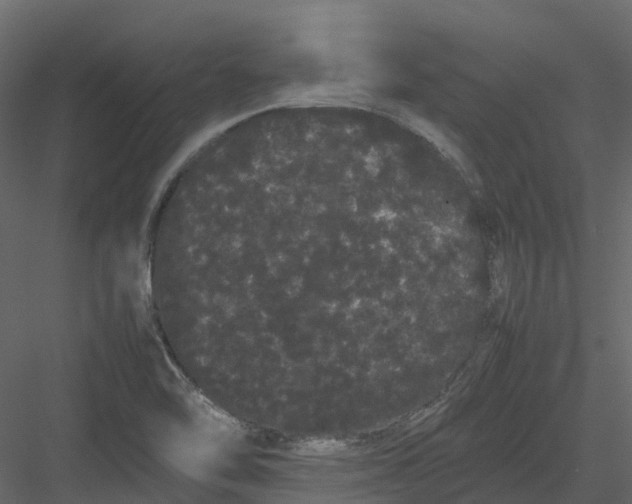 X0000082941462200702222234