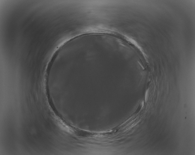 X0000082941463200702222234