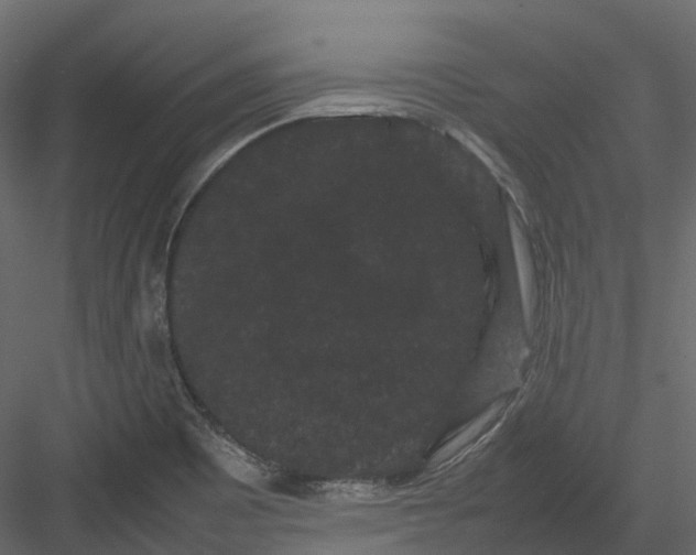 X0000082941465200702222234