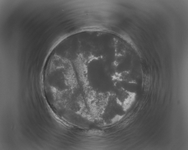 X0000082941466200702222234