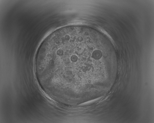 X0000082941467200702222234