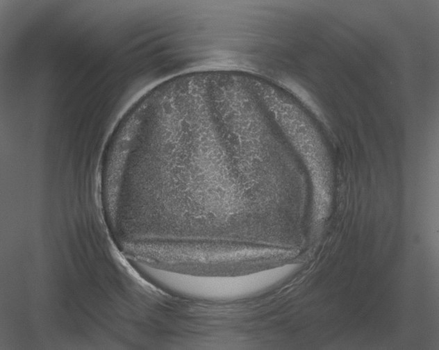 X0000082941468200702222234