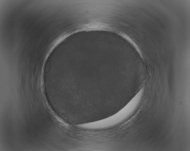 X0000082941469200702222234