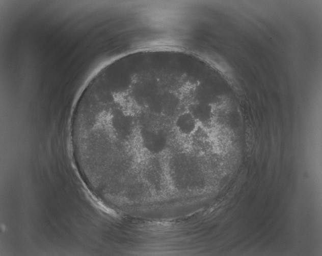 X0000082941470200702222234