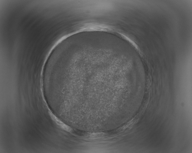 X0000082941471200702222234