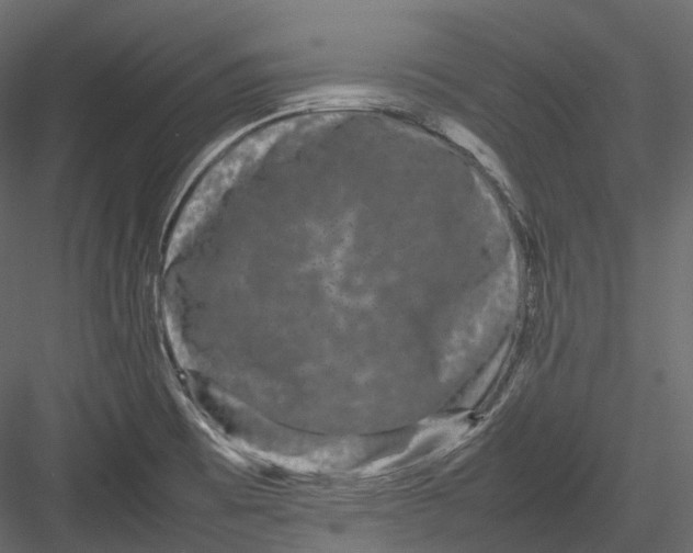 X0000082941473200702222234