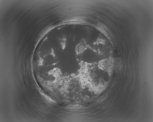 X0000082941474200702222234