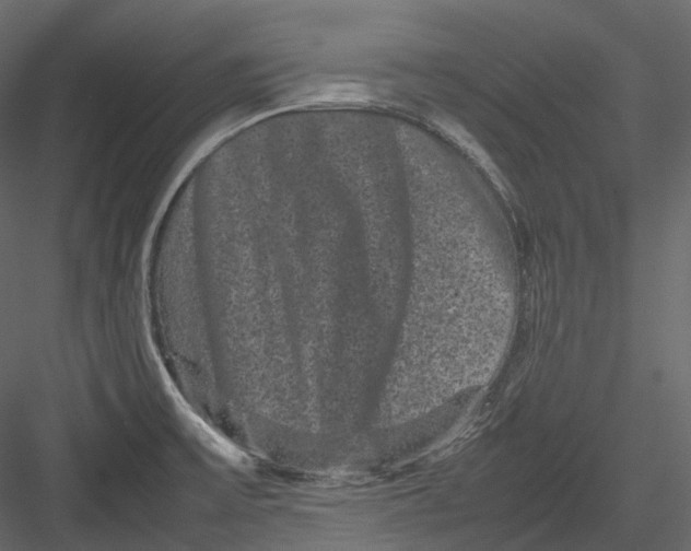 X0000082941475200702222234