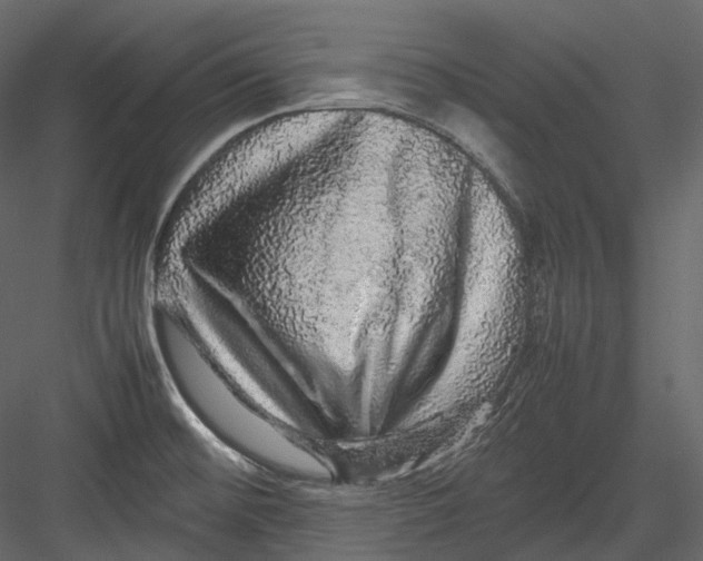 X0000082941476200702222234