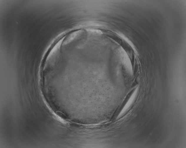 X0000082941477200702222233