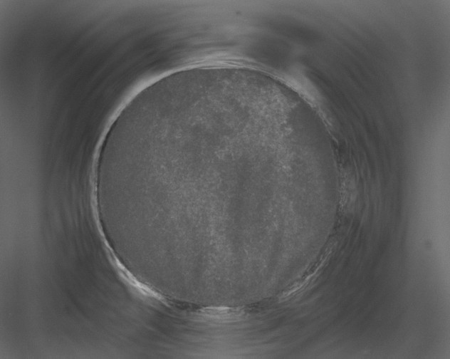 X0000082941478200702222233