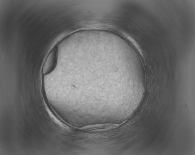 X0000082941479200702222233