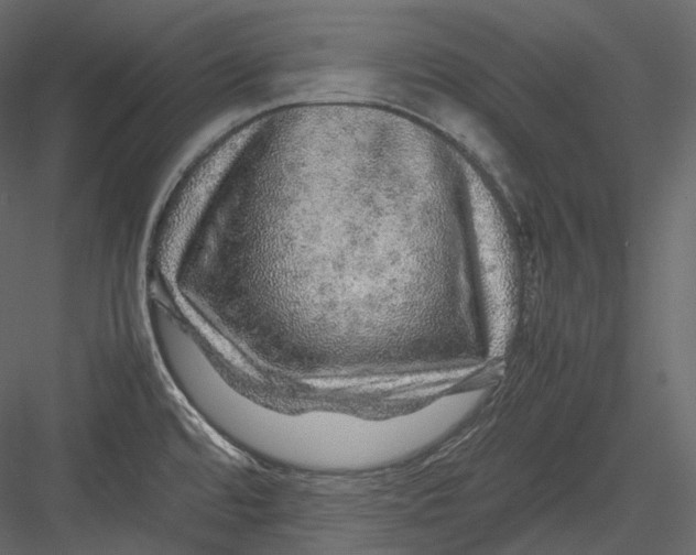 X0000082941480200702222233