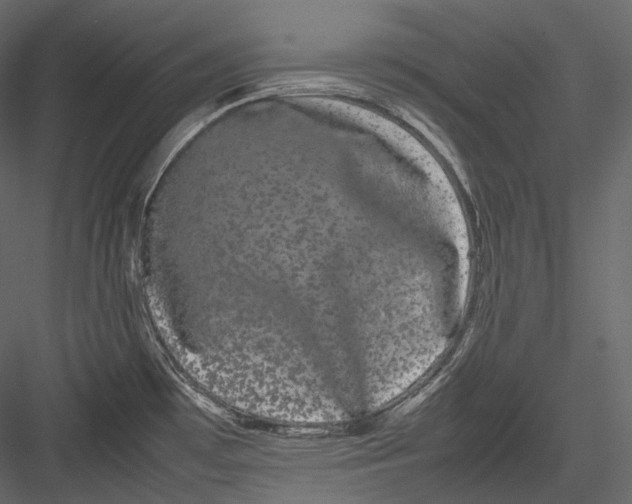 X0000082941481200702222233