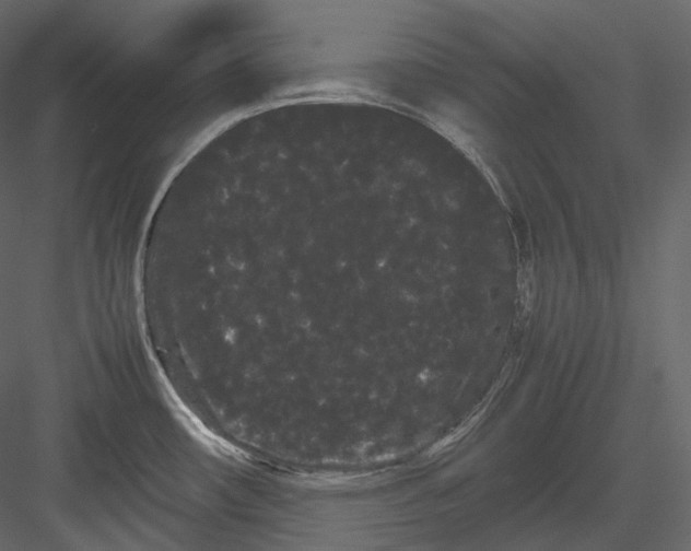 X0000082941482200702222233