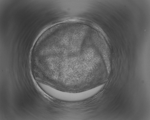 X0000082941483200702222233