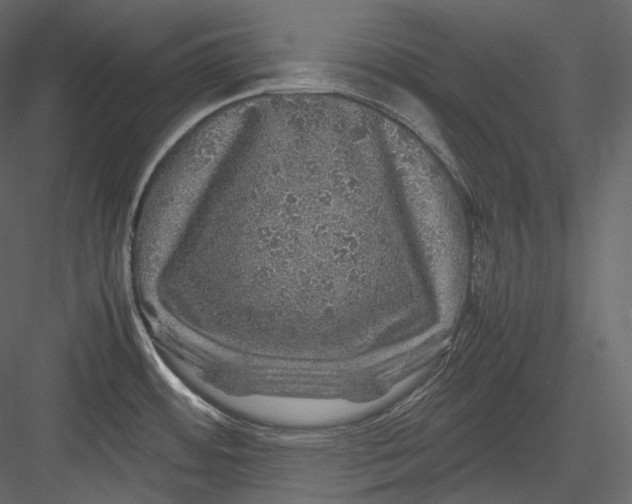 X0000082941484200702222233