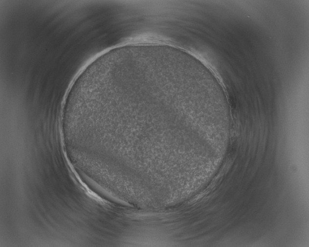 X0000082941486200702222233