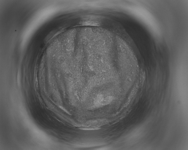 X0000082941487200702222233