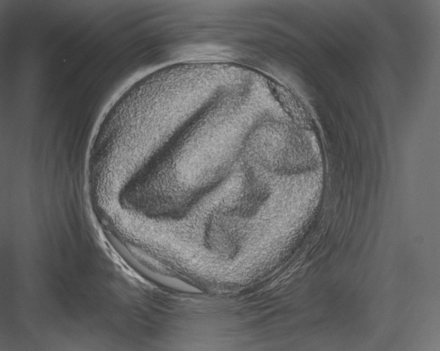 X0000082941488200702222233