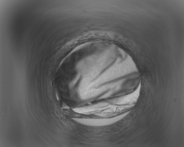 X0000082941489200702222232