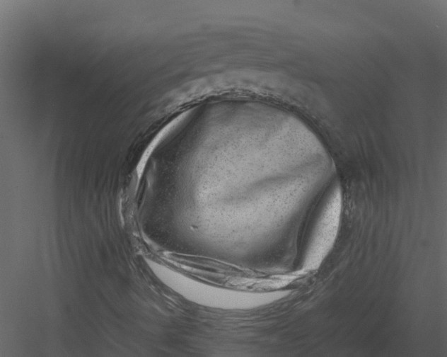 X0000082941490200702222232